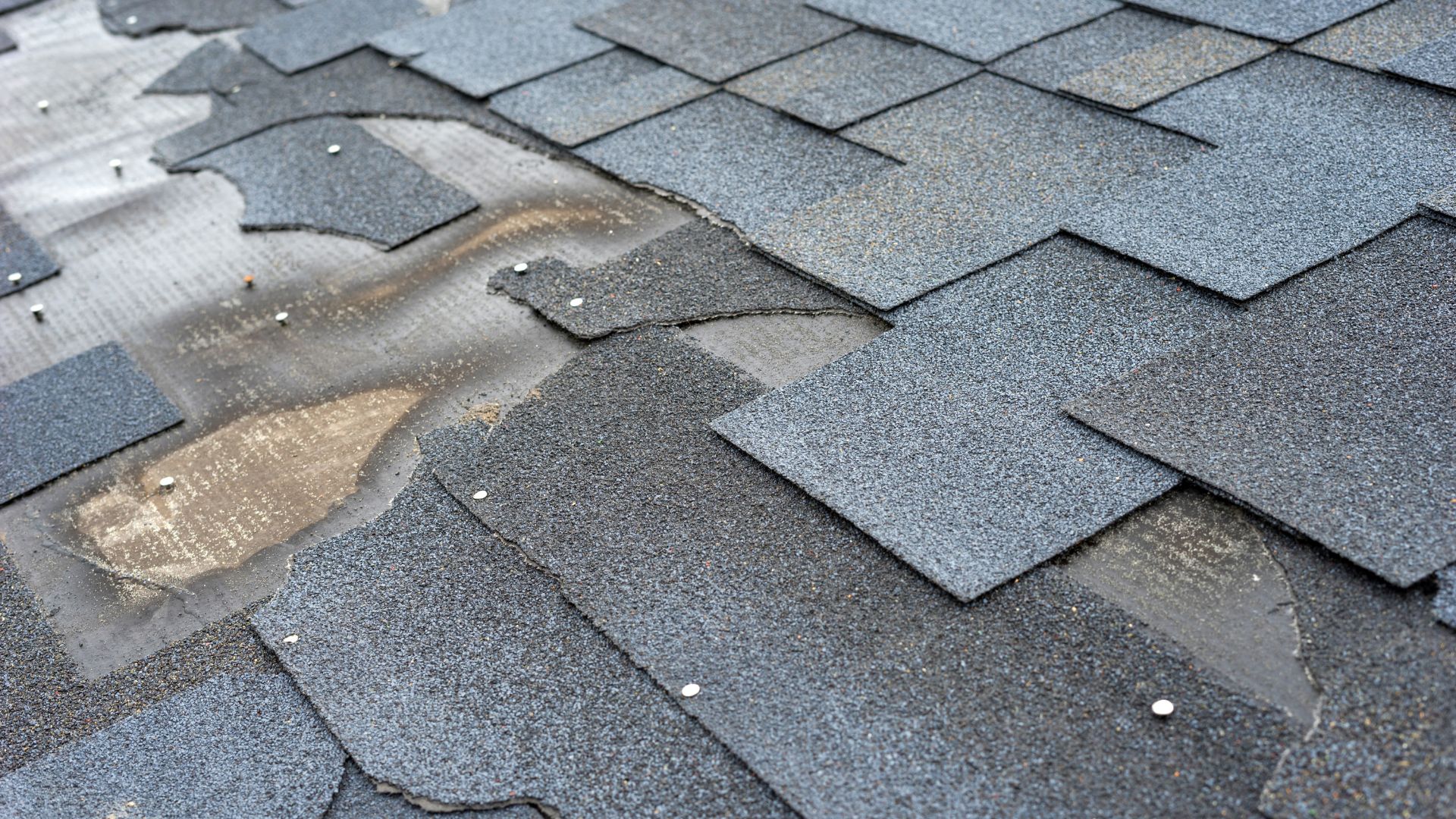scottsdale roof repair