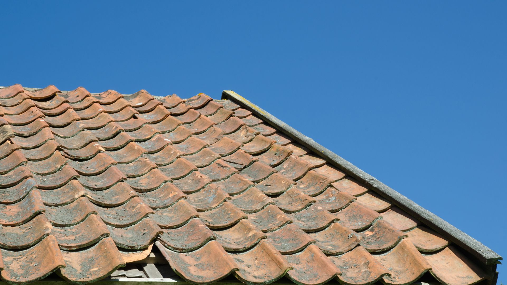 roof repair scottsdale