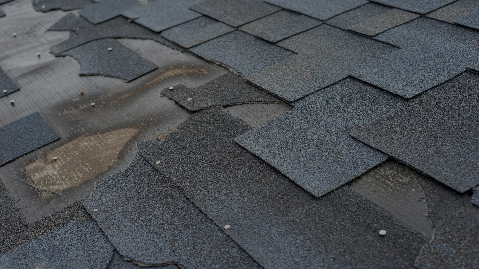 shingle-roof-repair-scottsdale-az | Triumph Roofing shingle roof repair scottsdale az