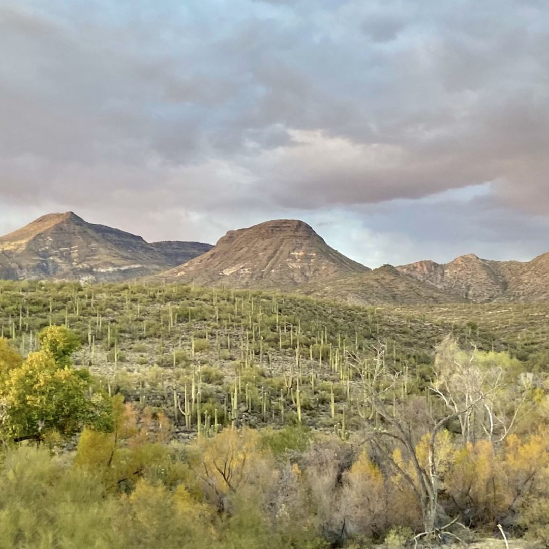 cave creek roofing companies